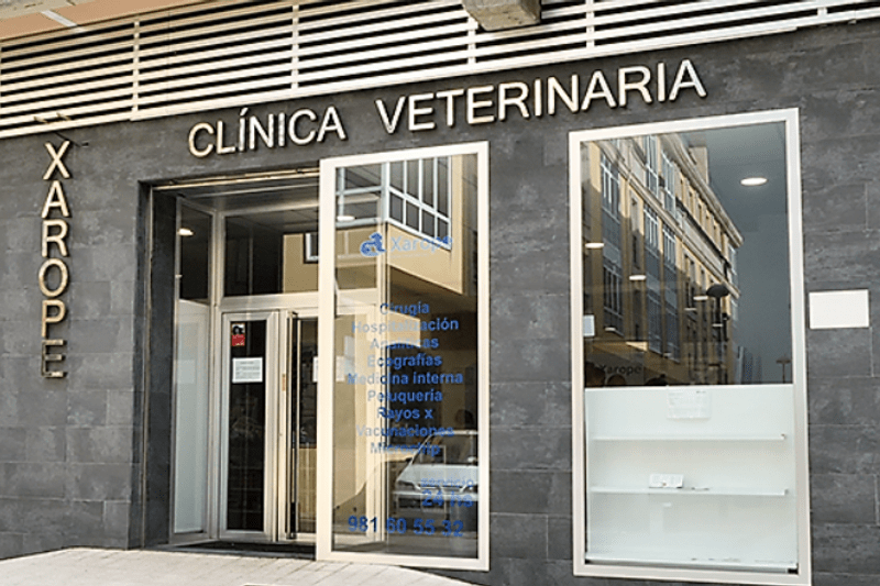 Veterinario Generalista: Argos Xarope image
