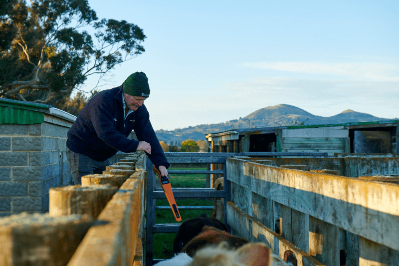 Product Owner - Animal Performance & Traceability image