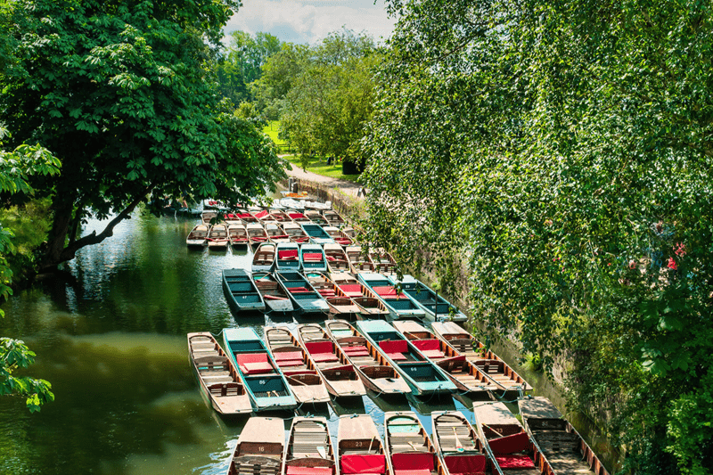 Volunteer role: Inclusion Champion for Oxford Humanists image