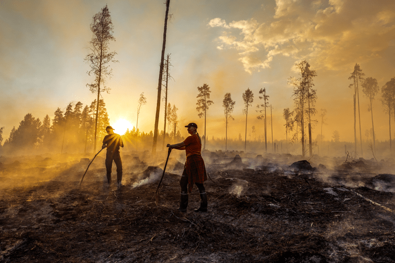 Mhy Keski-Suomi: Metsäasiantuntija image