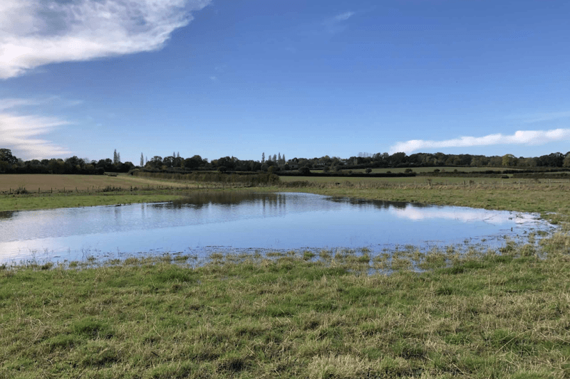 Water Resources Partnership Manager (South East Rivers Trust) image