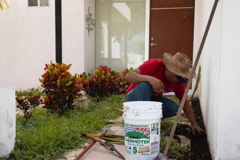 Jardinero - Sopó image