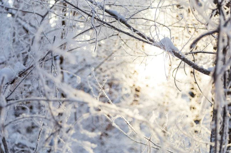 Hammaslääkäriksi Kymenlaakson alueelle! image