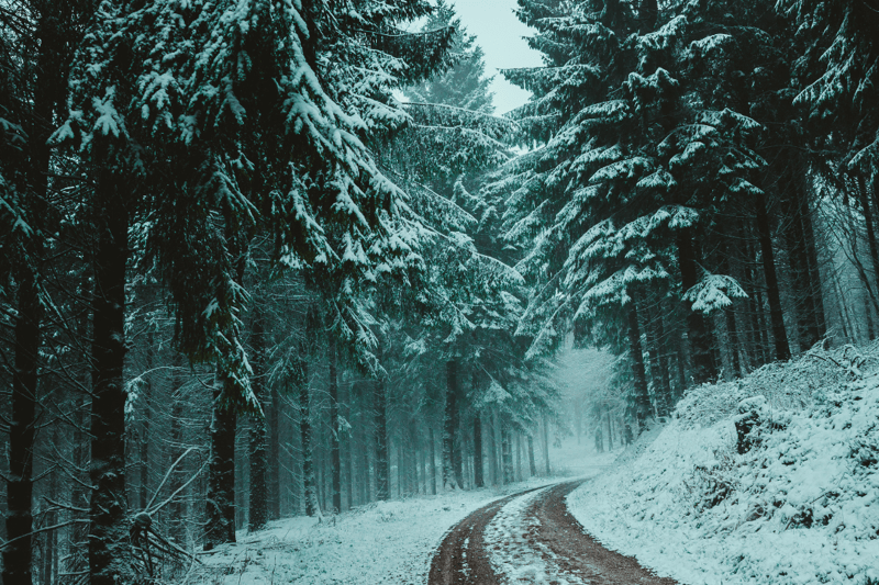 Senior Data Scientist - CDI image