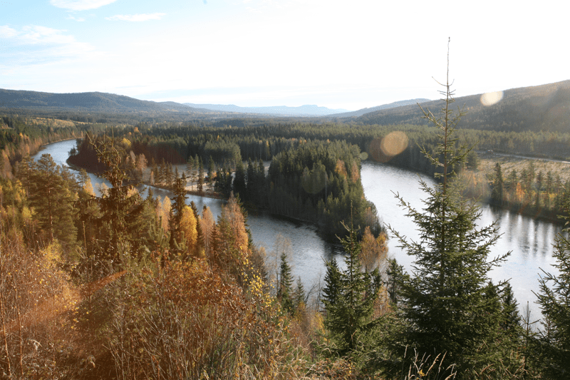 Förvaltare - Älvdalen & Särna/Idre Besparingsskogar image