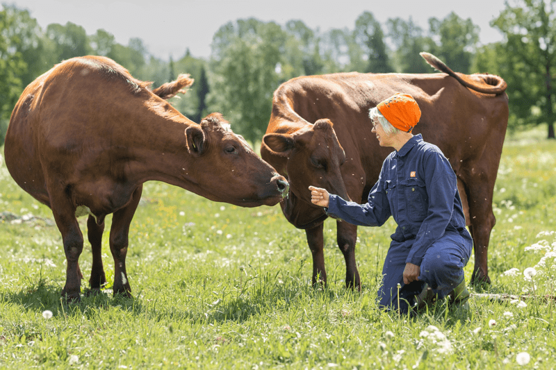 Djurhälsoveterinärer till Växa image