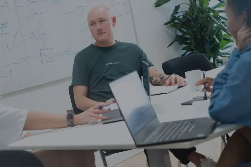 Software Architect image