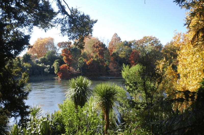 National Coordinator - Huarahi Ora (Interim Service) image