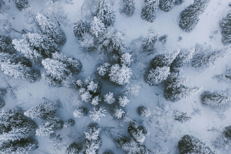 Senior Legal Counsel(s) image