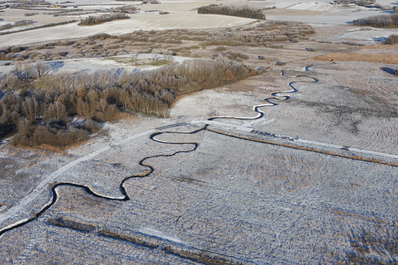 Teamleder til naturgenopretningsprojekter image