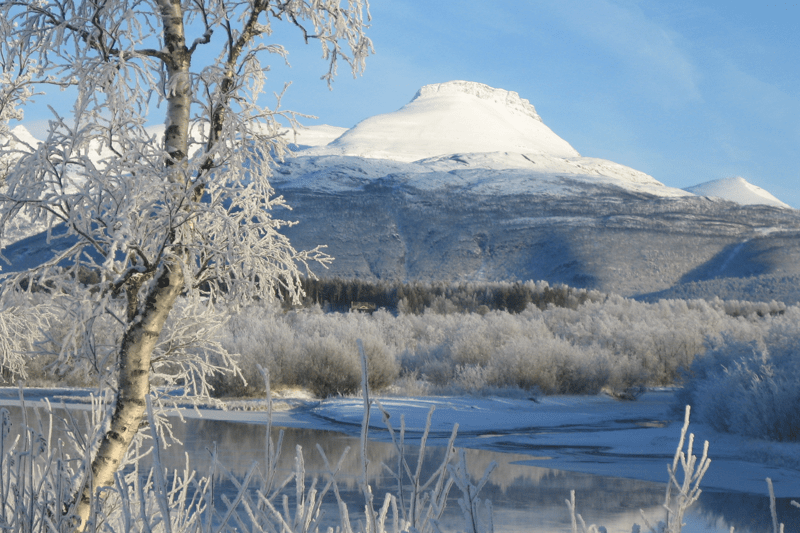 Prosjekt- og byggeleder image