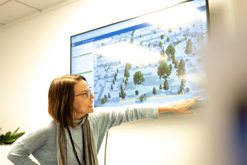 Team Leader Development Planning image