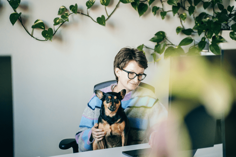 Senior Full-Stack Java Developer image