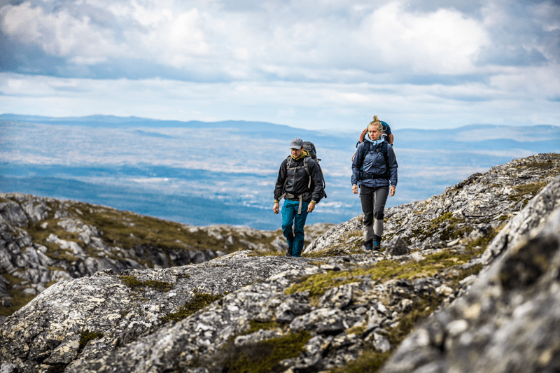 Fuldtidsmedarbejder Friluftsland/Frederiksborggade 28 image