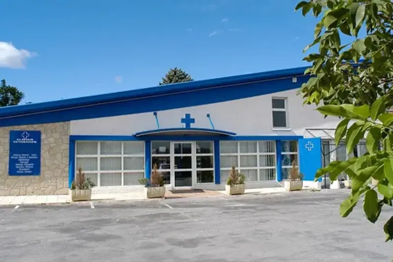 SAINT HUBERT - VETERINAIRE CANIN/ORIENTE CHIRURGIE EN CDI (H/F) image