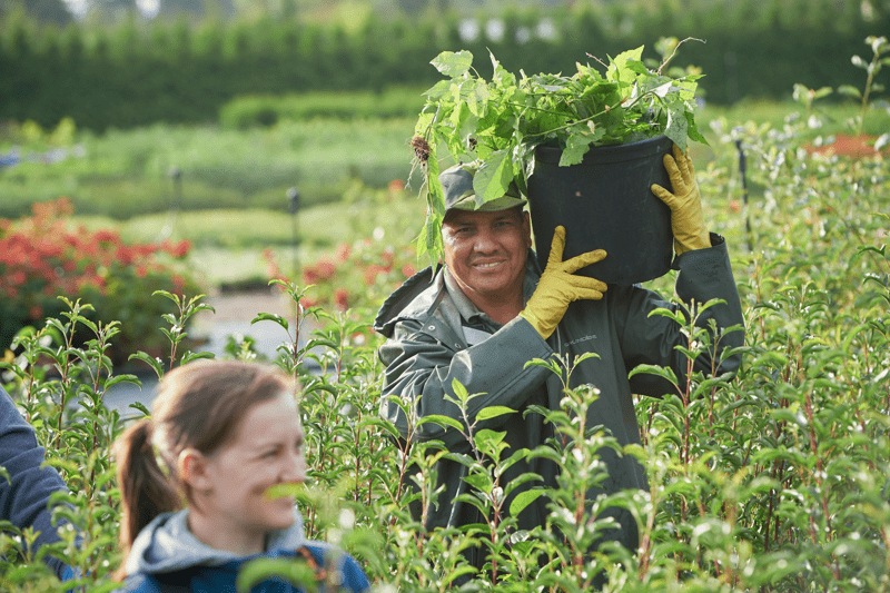 HR-chef till Splendor Plant image