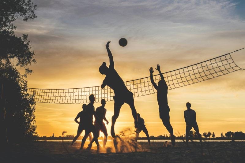 Docentes para el Grado en Actividad Física y del Deporte Curso 25-26 image