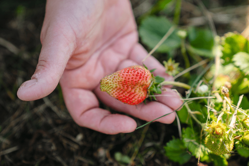 Vi ønsker miljøterapeuter til Stendi barnevern Bø i Vesterålen image