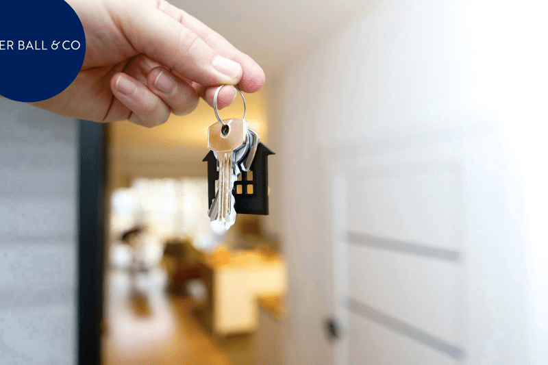 Saturday Sales Consultant ﻿  image