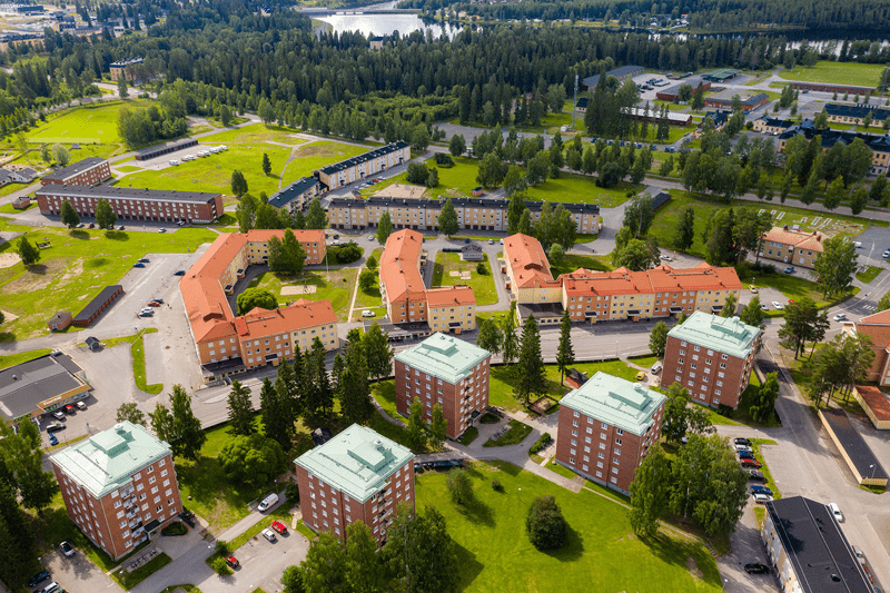 Vi söker en vd till Stiftelsen Bodenbo image