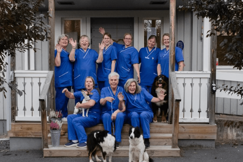 Smådjursveterinär till Vetlanda Djurklinik image