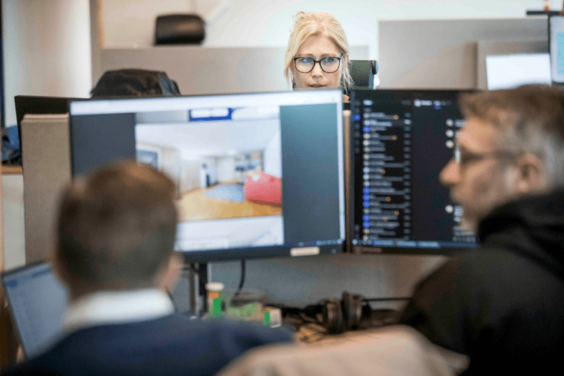 Software Tester image