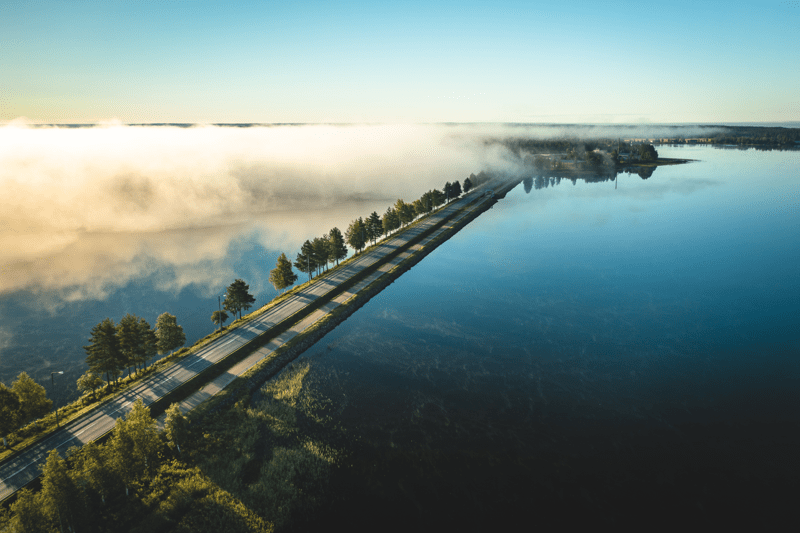 FEELIA / TUOTANTOJOHTAJA image