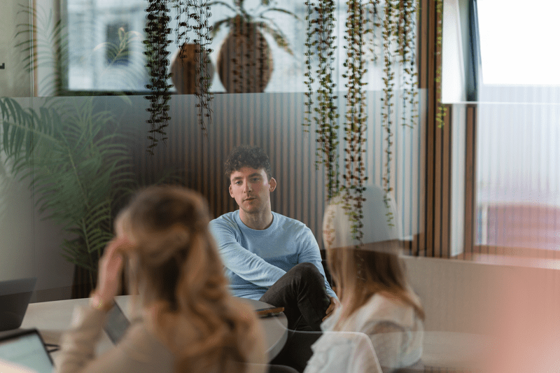 Web Analist   image