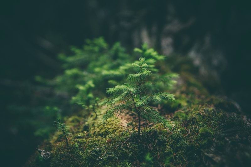 Junior projektör/energiingenjör Fjärrvärme & Fjärrkyla image
