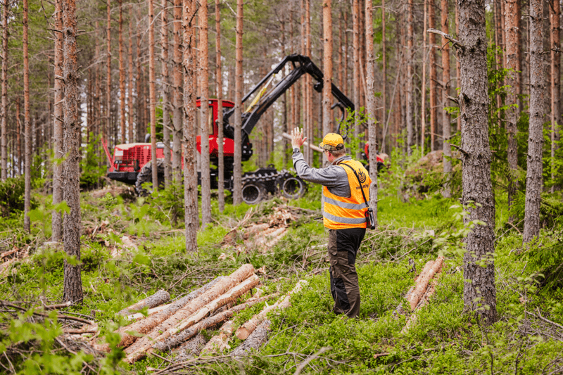 Mhy Salometsä: Metsäasiantuntija image