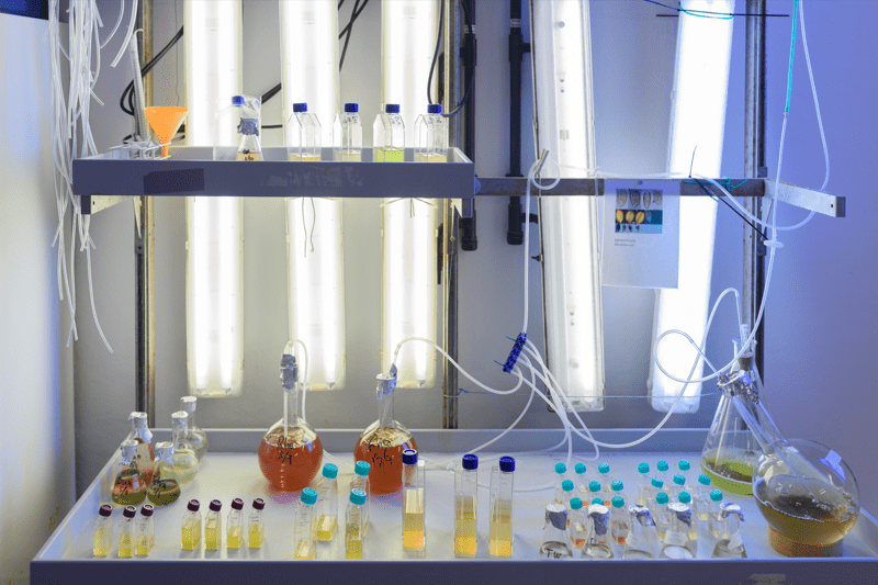 Master thesis: Ozone treatment for reduction of organic micropollutants image