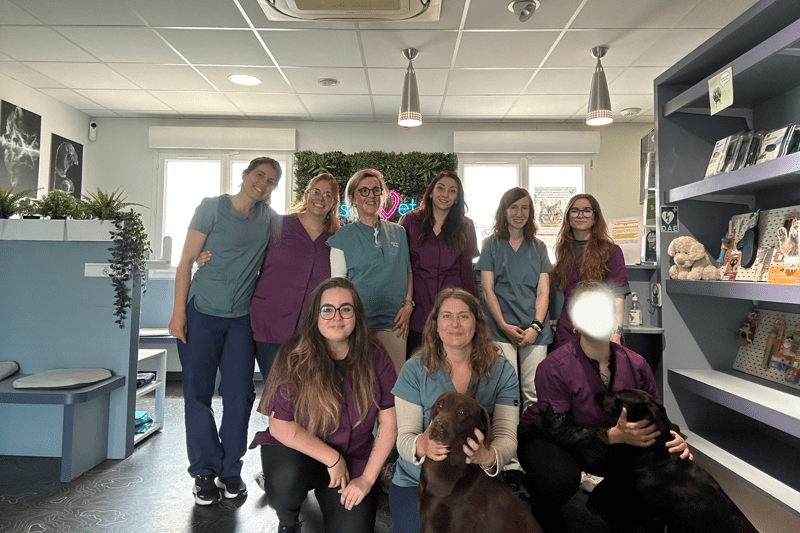 CESSON - CLINIQUE C SON VET - VETERINAIRE H/F - CDD image