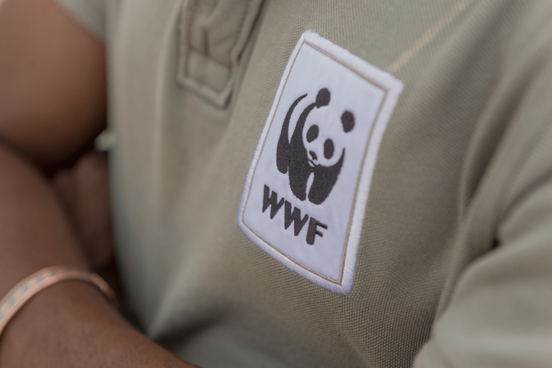 WWF Sverige söker nu en lönespecialist image