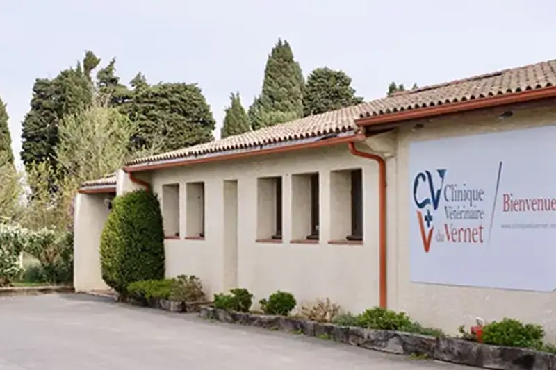 TOULOUSE - CLINIQUE DU VERNET - VETERINAIRE CHIRURGIEN (H/F) image