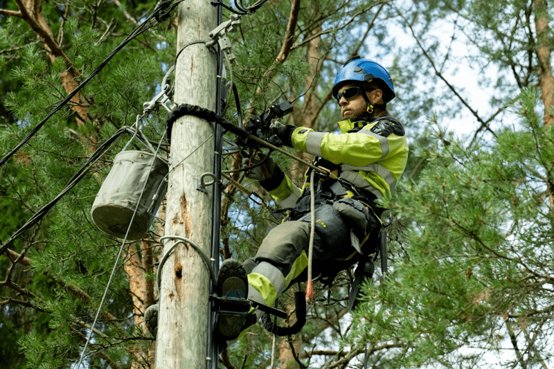 Verkostoasentaja Raisioon- Vertek image