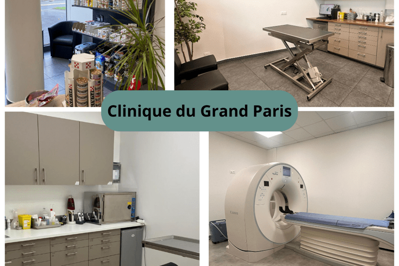 CLINIQUE DU GRAND PARIS - VETERINAIRE GENERALISTE H/F - CDI image