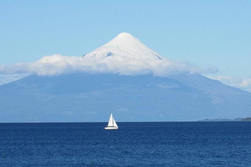 Jefe de Distribución y Logística image