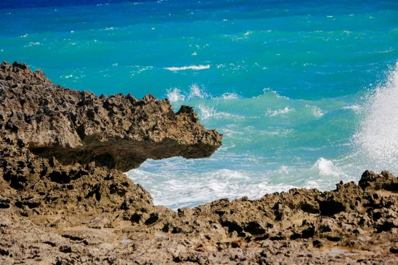 Ingeniero/a electrónico/a image