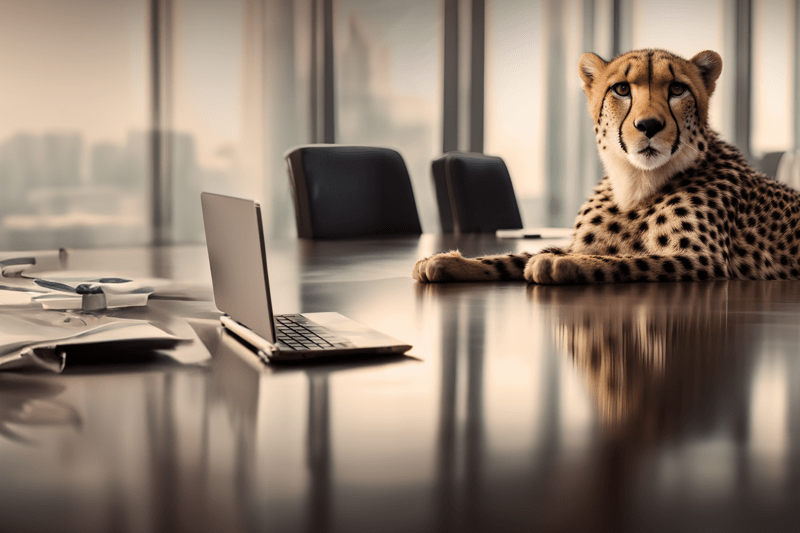 Software Development Manager image