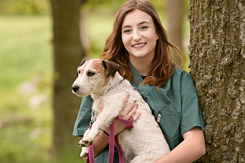 Djurvårdslärare till Naturbruksgymnasiet Kalmar image