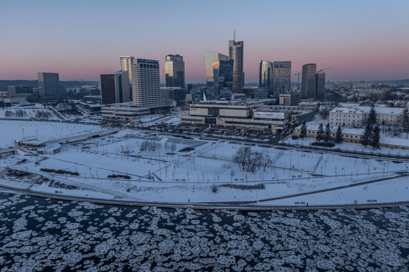 Finansų kontrolierė (-ius) image