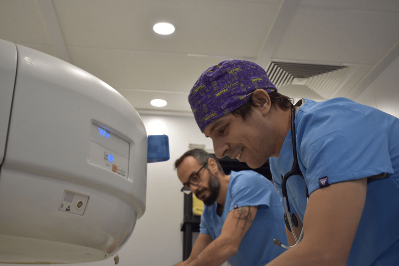 Internado Veterinario Medicina Interna Hospital MontjuÏc Barcelona VetPartners image