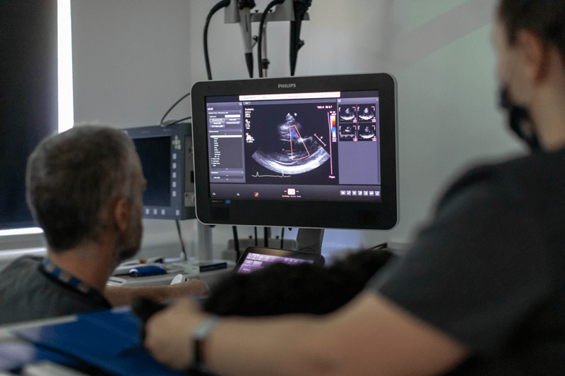 Vétérinaire Spécialiste en Médecine Interne – Clinique Vétérinaire Champ du Roi image