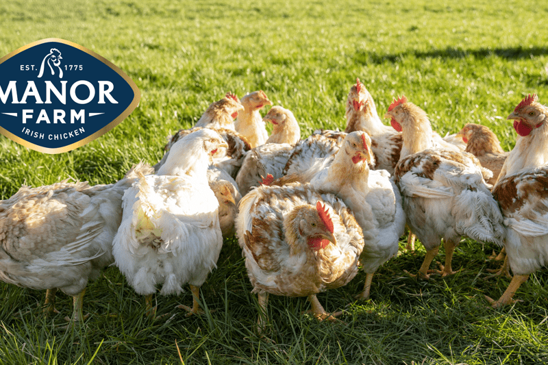 Assistant Animal Welfare Manager (Fixed-Term) image