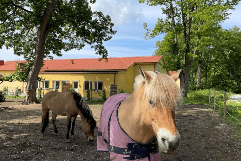 Stödassistenter sökes till LSS gruppbostad i Arlöv image