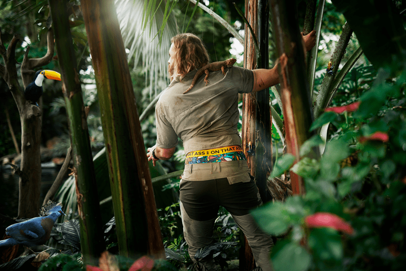 Teamlead Customer Service image