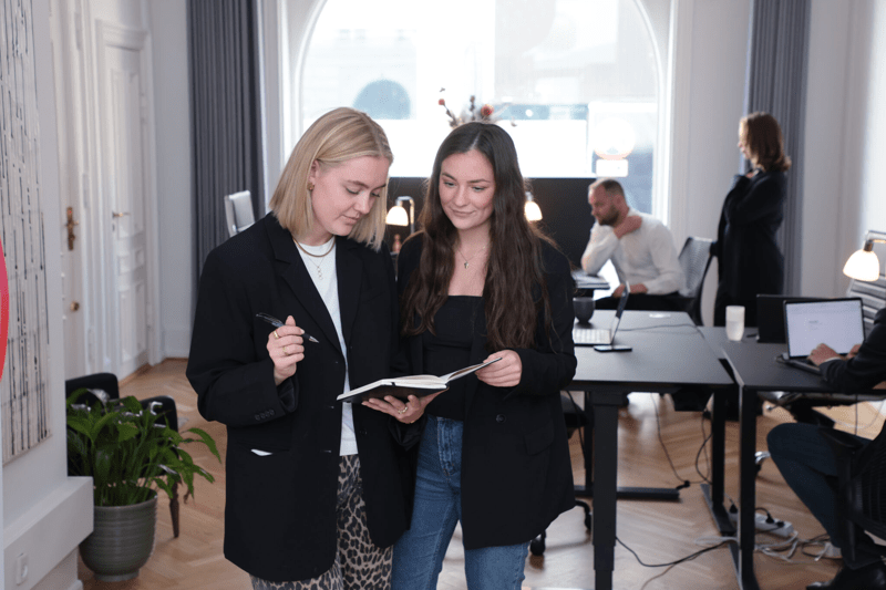 Revisor til kunde i København image