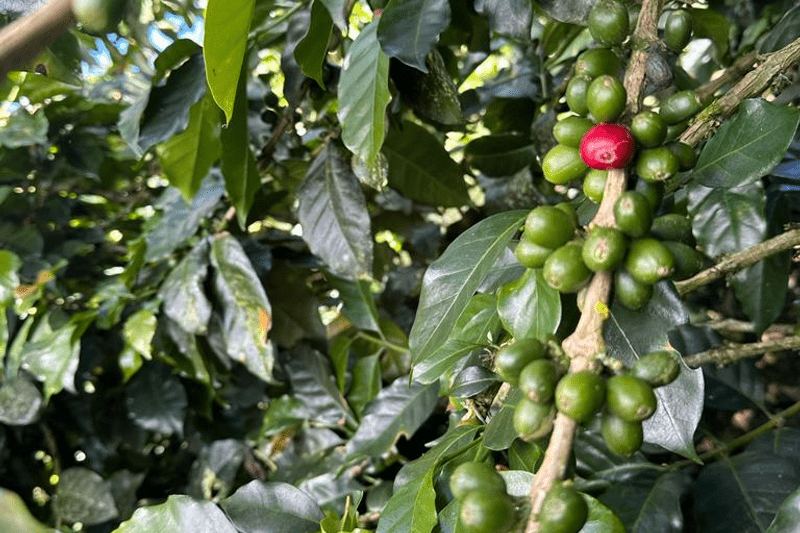 Asistente de Producción - Turno Rotativo (día / noche) image
