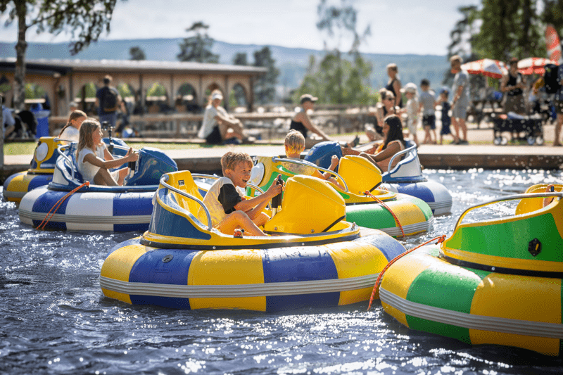 Superteamet 2026 image