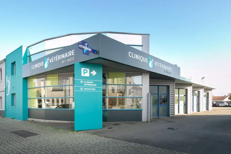 NANTES - VET'OUEST - VETERINAIRE GENERALISTE - CDI image